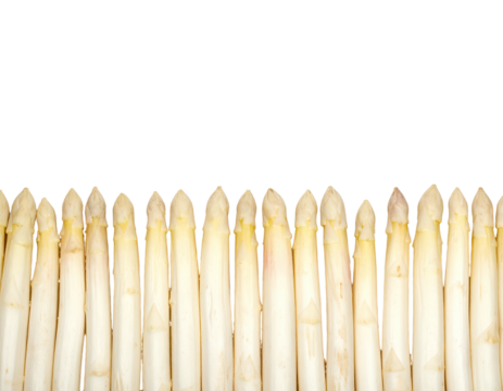 White asparagus spears, aligned against black backdrop