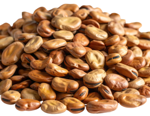 Pile of tan, oval beans. Texture visible. Close-up shot