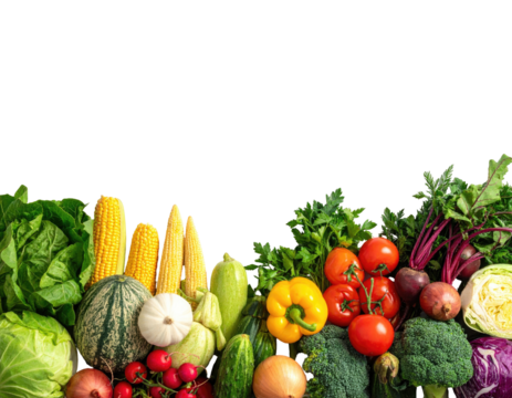 Assorted vibrant garden vegetables at base