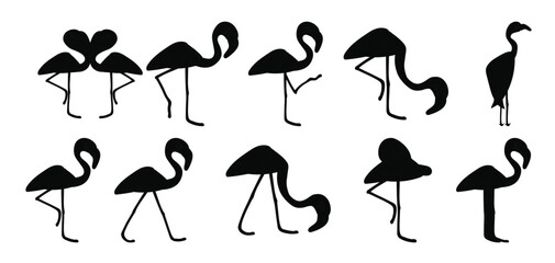 Set of Flamingo vector illustration