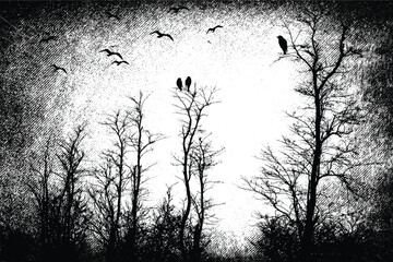 Silhouette of winter forest with flying birds. Gothic style black and white illustration	