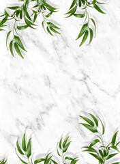 White marble background with green leaves