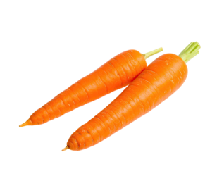 Two orange carrots with green tops on a black background