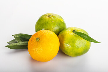Fresh ripe sweet juicy mandarins