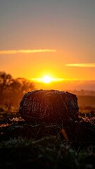 Golden sunrise illuminates savory beef roast silhouette in minimalist presentation