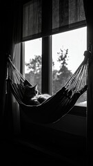 A serene black and white image of a cat relaxing in a hammock near a window