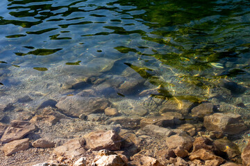 Crystalline lake glimmers over submerged stones, invoking Midsummer's Eve tranquility, hydrology wonders, serene aquatic symphony quietly unfolding