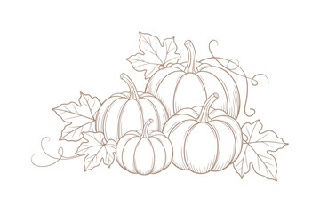 A decorative illustration of pumpkins and autumn leaves symbolizing the harvest season and fall.