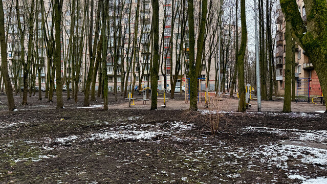 Urban forest whispers of winter's end, bare trees cradle rustic playground; invoke Arbor Day, mysterious Eastern European urbanism