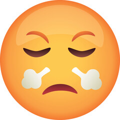 Orange emoji face exhaling steam with closed eyes and sad mouth showing frustration and exhaustion on a transparent background