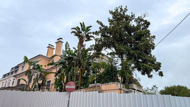 Whimsical villa nestled behind tropical foliage whispers tales of secret garden escapes, perfect for Dia de los Muertos