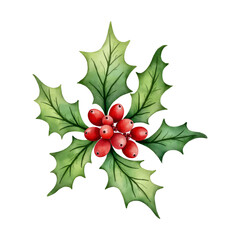 Christmas holly plant with green spiky leaves and red berries in watercolor style on transparent background, symbolizing festive decoration