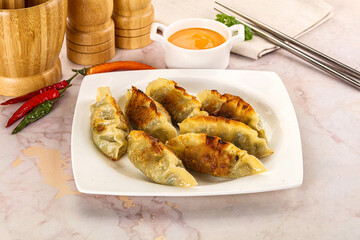 Japanese fried Gyoza stuffed dumplings