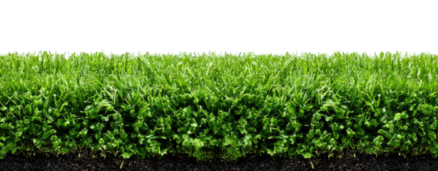 Lush grass section with soil, black background