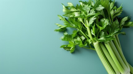 Artistic composition featuring celery arranged in a geometric pattern on a minimalistic background.