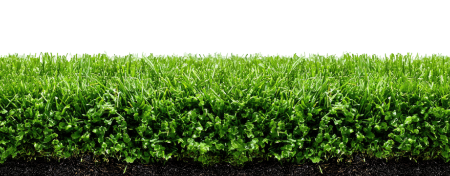 Lush grass section with soil, black background