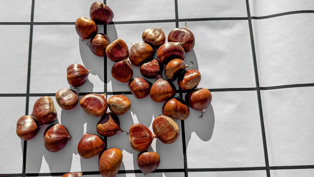 Ripe chestnuts dance on a geometric canvas, evoking urban harvest whimsy and the ancient shadow of Samhain festivities