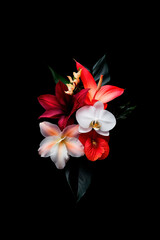 Exotic Tropical Flowers Arrangement on Black Background.