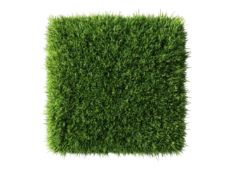 Lush square patch of dark green grass, top-down view