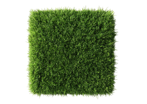 Lush square patch of dark green grass, top-down view