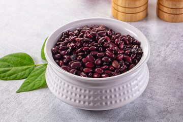 Raw dry uncooked red beans