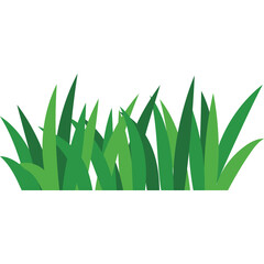 Green Blades of Grass Border on Transparent Background Natural Background Element Vivid Green Hues Vibrant Spring Season Outdoor Scene Fresh Growth Detailed Texture