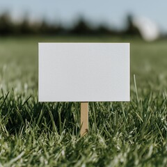 A Blank Sign Stands Alone in a Lush Green Field, Ready for Messages, Announcements, or Creative Expression Amidst Natural Calm