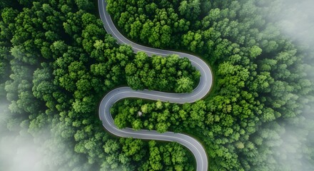 Aerial drone view of a winding road through a lush green forest with a hint of fog