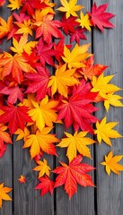 Vibrant maple leaves in autumn colors, scattered on a wooden surface, evoking fall season warmth,  season,  leaf