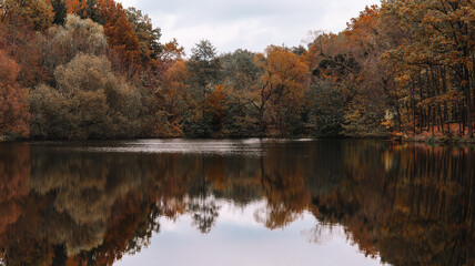 Autumn forest lake with colorful trees reflecting in the water