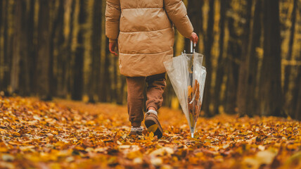 Person walking in autumn forest with umbrella, surrounded by fallen leaves