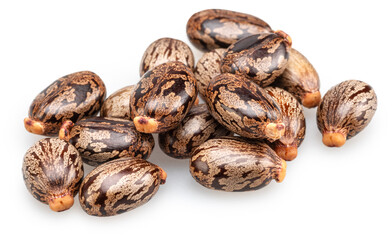 Bean-shaped, mottled, glossy castor oil seeds on white background. File contains clipping paths.