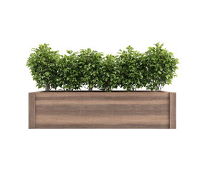 Planter box with lush, green foliage in wood container