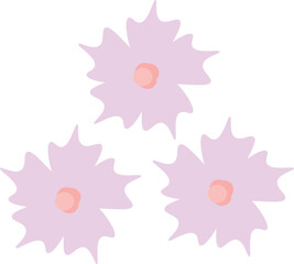 Three purple flowers