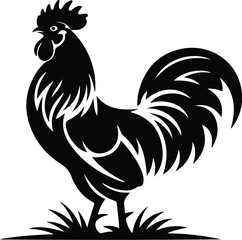 Colorful rooster vector illustration isolated on white background