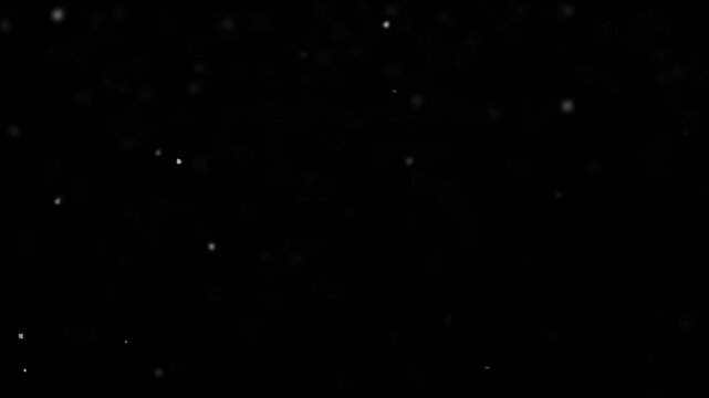 Dynamic floating white particles on a black background loop, resembling dust motes, bokeh, or subtle snow, ideal for abstract overlays and atmospheric visual effects