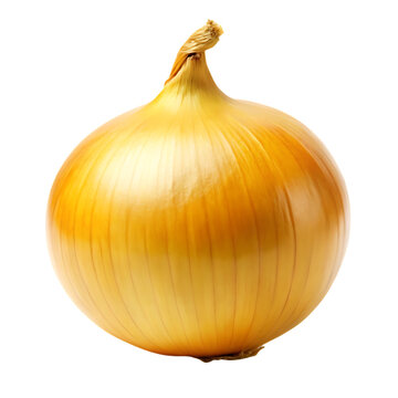 Fresh golden onion bulb isolated on a clean black background