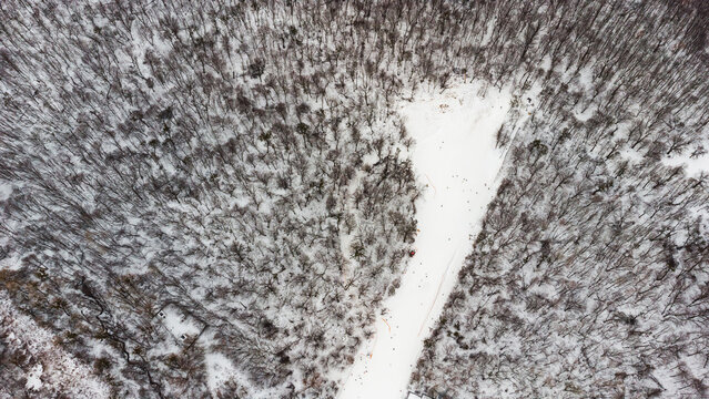 Drone view at slope on ski resort. Forest and ski slope from air. Winter landscape from a drone. Snowy landscape on ski resort. Aerial photography - Powered by Adobe