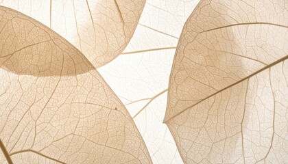 Translucent leaves show intricate vein patterns, backlit