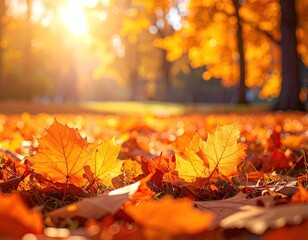 Golden leaves litter the ground, bathed in autumn sunlight