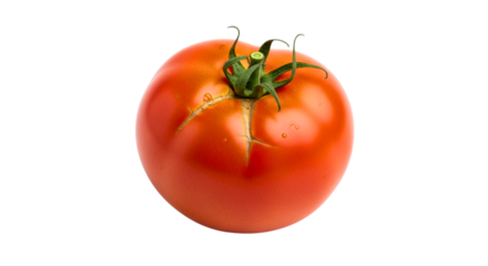 Fresh ripe tomato with stem ready to be sliced for salad on transparent background