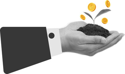 saving for the future, hands with money tree art collage