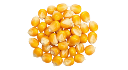Pile of yellow popcorn kernels with white tips arranged in a circle isolated on a transparent background
