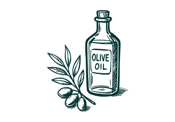 Olive Branch with Olives hand drawn simple sketch vector illustration
