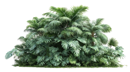 Lush tropical plant cluster (1)