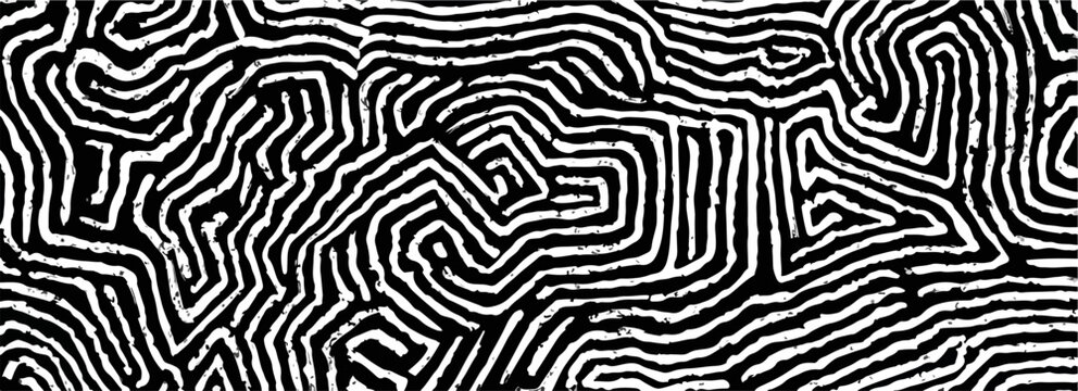 Patr&oacute;n abstracto de l&iacute;neas blancas y negras entrelazadas, dise&ntilde;o de laberinto org&aacute;nico, arte vectorial