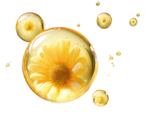 Chamomile flowers float in clear liquid bubbles, against a black backdrop