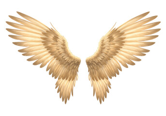 Isolated pair of realistic angel wings, golden color, plumage texture, heaven, fantasy