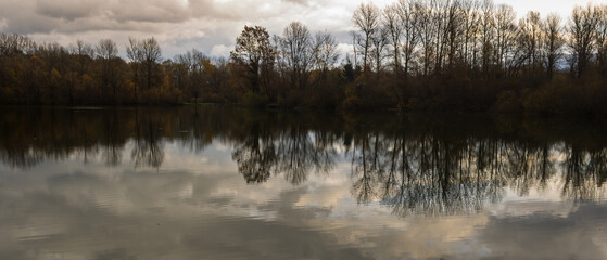 trees reflected in calm lake under cloudy sky