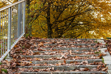 stone steps covered with autumn leaves